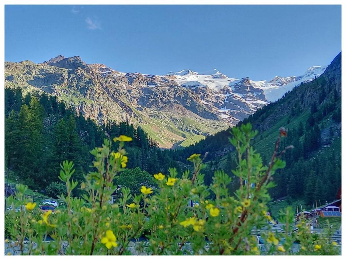 Punta Vittoria Sub 14 - Residence Anderbatt Gressoney - 3 Locali - Cir N 0010 Staval Dış mekan fotoğraf