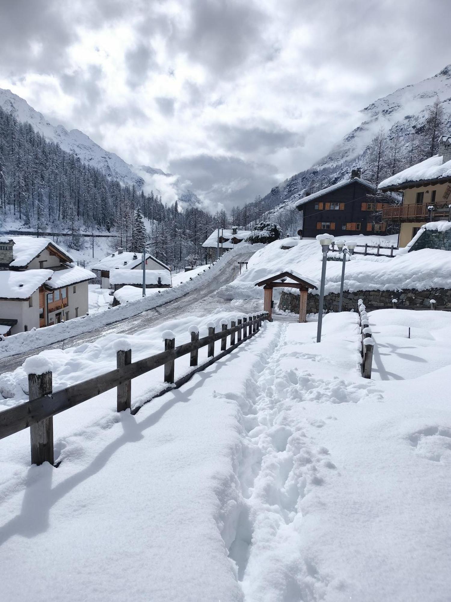 Punta Vittoria Sub 14 - Residence Anderbatt Gressoney - 3 Locali - Cir N 0010 Staval Dış mekan fotoğraf