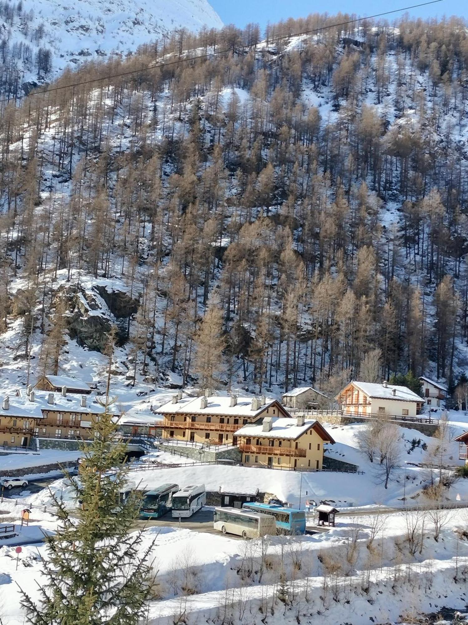 Punta Vittoria Sub 14 - Residence Anderbatt Gressoney - 3 Locali - Cir N 0010 Staval Dış mekan fotoğraf